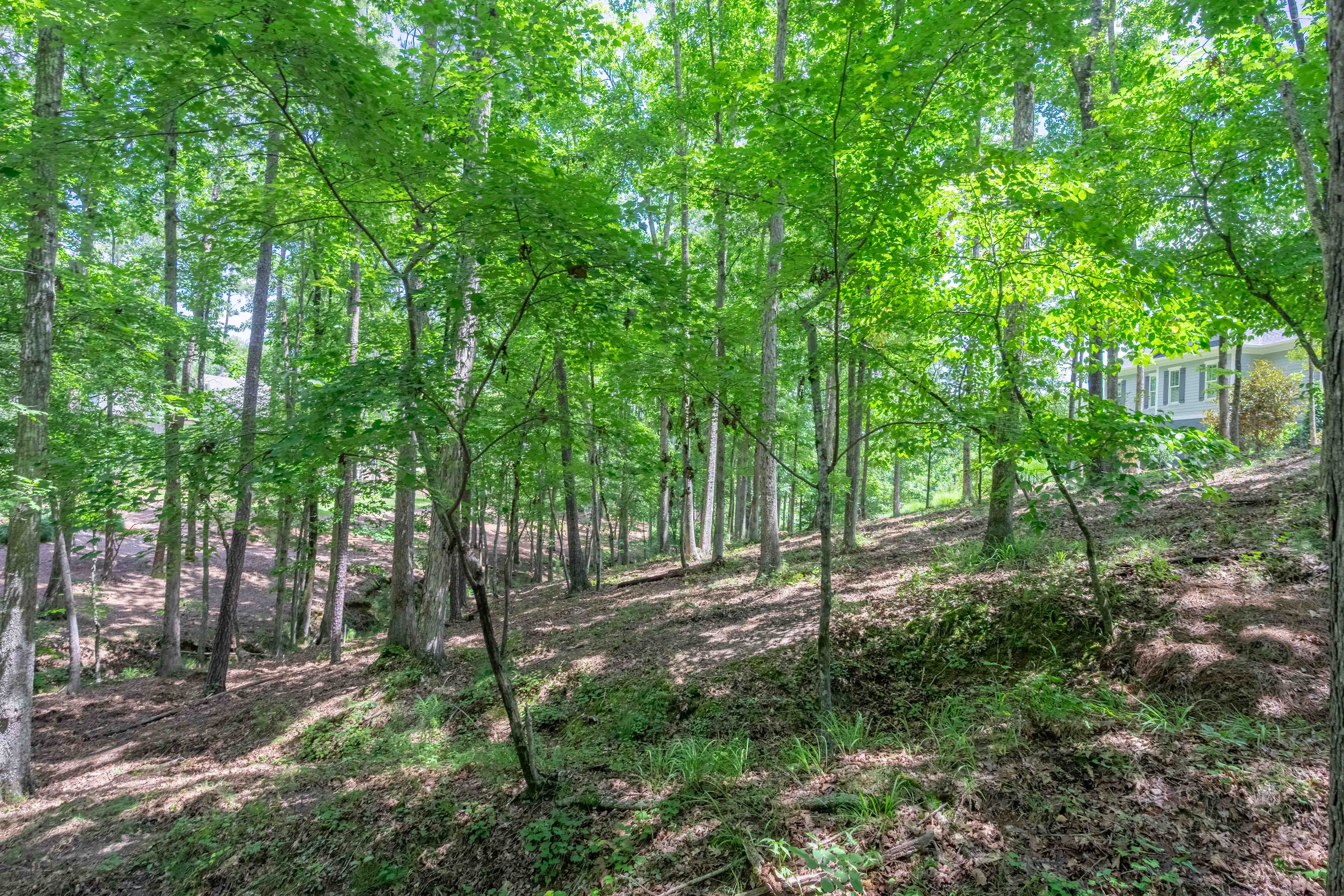 1090 Lumbering Creek image 9